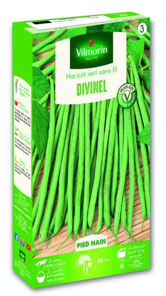 Légumes Secs - Haricot Nain Vert Divinel - face recto